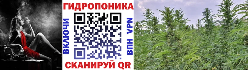 Виды наркотиков купить Заинск А ПВП  Канабис  Меф  ГАШИШ 