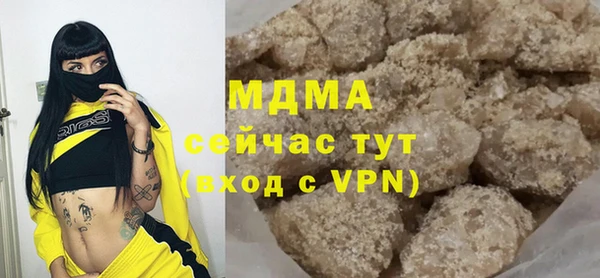 индика Чердынь