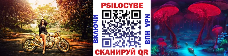 Галлюциногенные грибы GOLDEN TEACHER  наркота  Заинск 